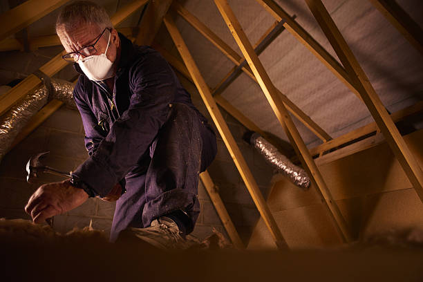 Best Insulation for Specific Applications in Walton, KY